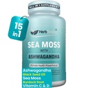 Herbtonics Sea Moss, Black Seed Oil, Ashwagandha, Burdock Root & ACV Complex (en anglais seulement) Boost Immunity, Reduce Stress, Support Digestion (en anglais seulement) Capsules tout-en-un SeaMoss (en anglais seulement)