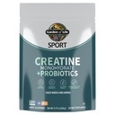 Poudre monohydratée de créatine pour les femmes et les hommes par jardin de vie, préparation micronisée avec probiotiques pour les muscles, la force, la performance, le sport Amino énergie, environ 60 portions faciles à mélanger