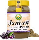 Basic Ayurveda Jamun Powder – 7.05 Oz (200g) | Indian Blackberry Fruit Powder | Natural Herbal Supplement for Daily Use | Rich in Antioxidantien | Vegan & Gluten-Free