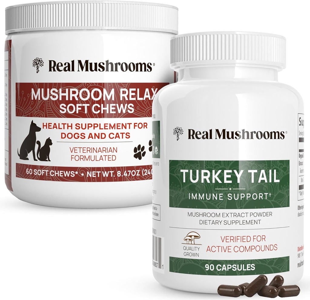 Real Mushrooms Turkey Tail for Humans (90ct) & Mushroom Pet Relax Chews (60 Chews) - Bundle for Immunity & Relaxation - Vegan, Non-OGM, Sans gluten, Sans céréales Extraits de champignons