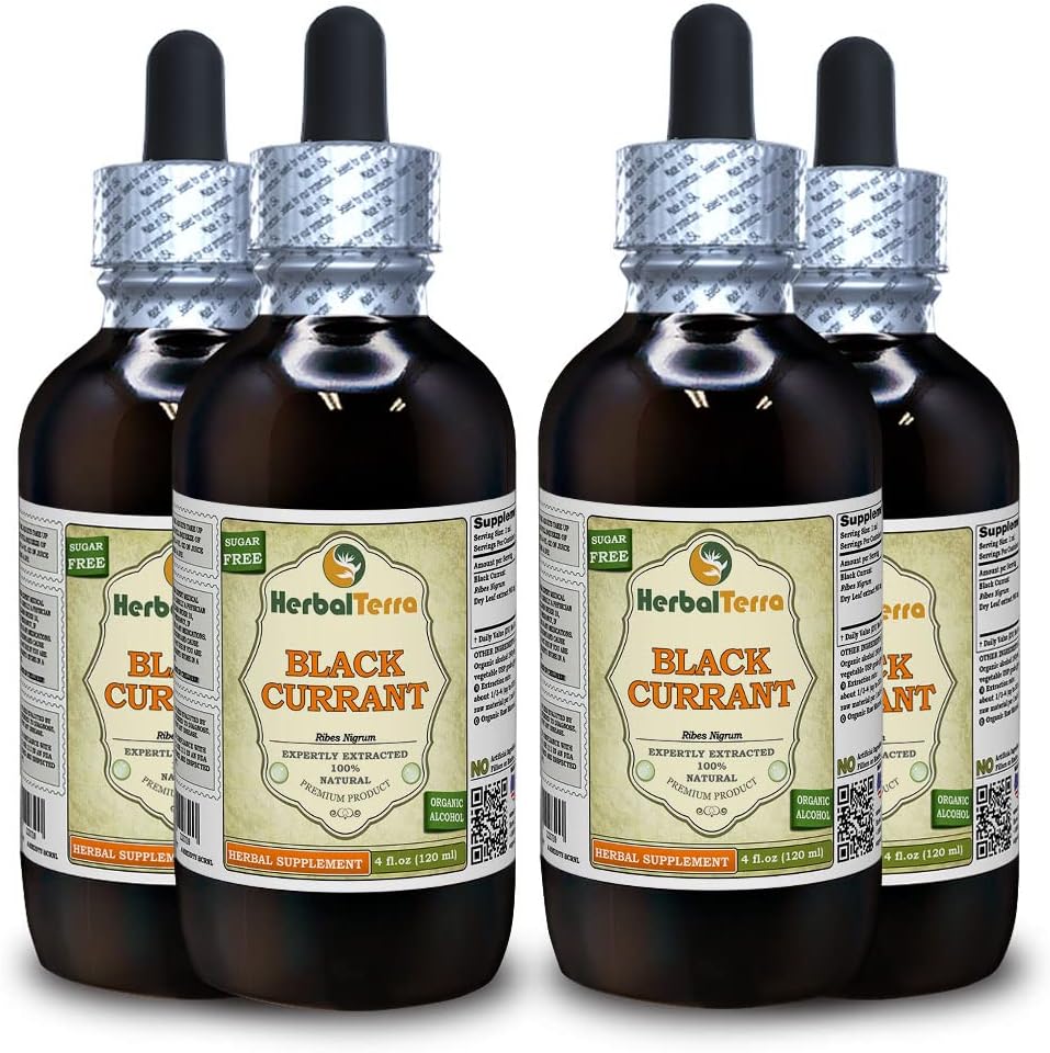 Schwarze Johannisbeere (Ribes nigrum) Tinktur, getrocknete Blätter Flüssiger Extrakt (Markenname: HerbalTerra, Proudly Made in USA) 4x4 fl.oz (4x120 ml)