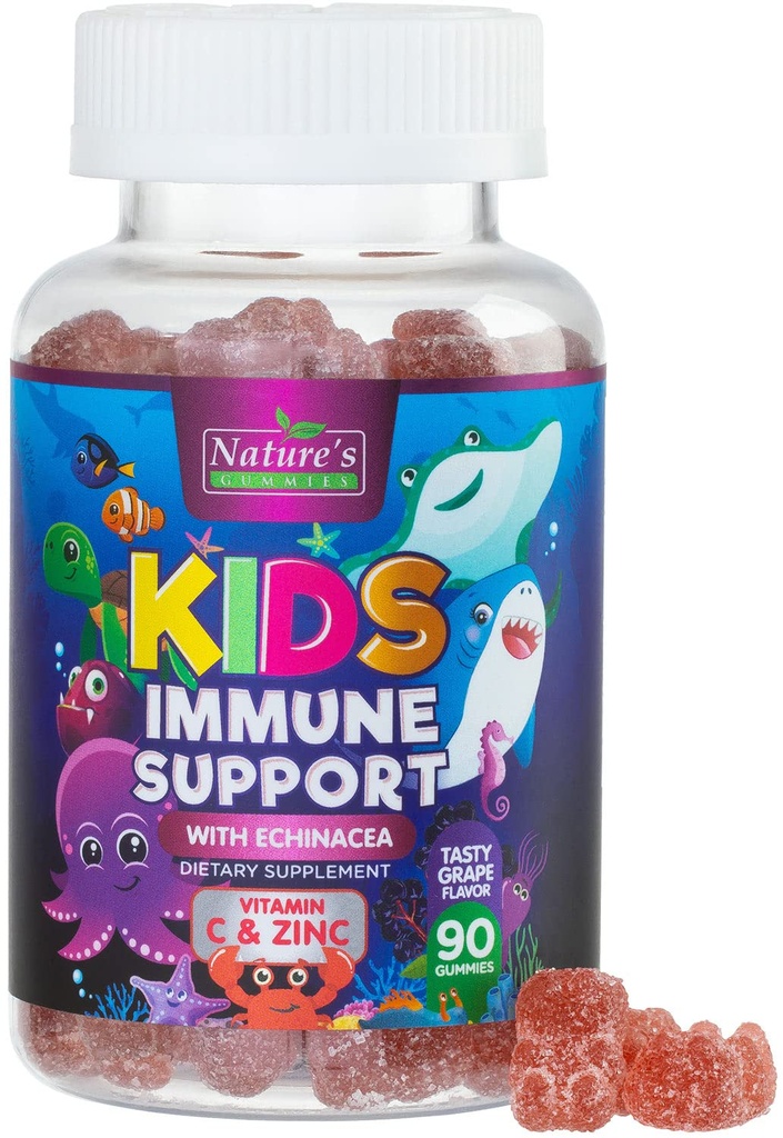 Supplément de soutien immunitaire pour enfants Gommies - Vitamines quotidiennes pour enfants C, Zinc et Echinacea - Gommy pour enfants Immunity Support, 4 ans et plus, Berry Flavor naturel, non-OGM, sans gluten et végétalien - 90 Gommies