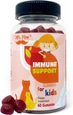 Mr. Pen Elderberry Vitamin C Zink Gummi für Kinder | 60 Count | 2 Month Supply | 4+ Jahre, Immununterstützung Gummie, Niedriger Zucker, Nicht-GVO, Vegan, Glutenfrei, Pectin Chews