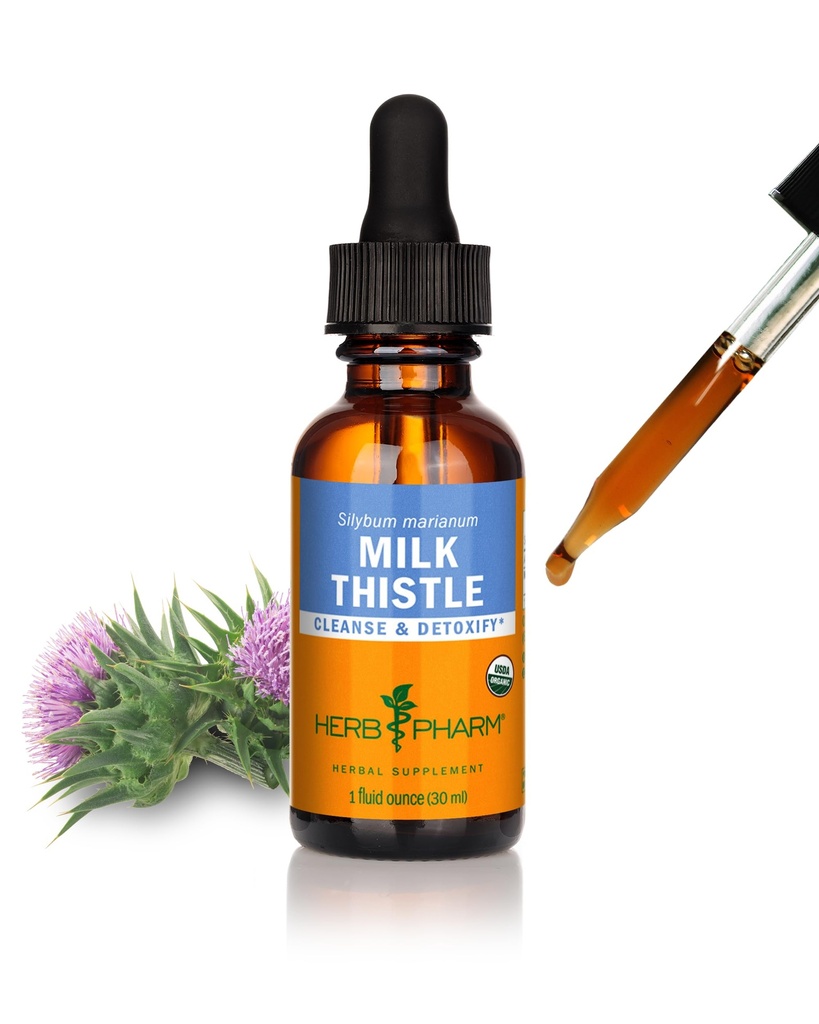 Kräuter Pharm Milchdistel Flüssiger Extrakt: Bio Silybum marianum Extrakt Gesunde Leberfunktion Unterstützung, Sauber & Detoxify, schnell absorbierende Milchdistel Kräuterergänzung, Bis zu ~3 Wochen Versorgung, 1 oz*