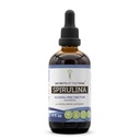 Secrets of the Tribe Spirulina Alcohol-Free Liquid Extract, Spirulina (Arthrospira Platensis) Tinktur Supplement (4 FL OZ)
