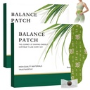 Équilibre de la plaquette à base de plantes de 2 boîtes, Patches à nef à base de plantes de Mugwort, Confort Abdominal à long terme(1 boîtes 5 pièces)