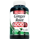 FITO MEDIC'S Lab | Ingwer Root Kapseln | 200 Kapseln