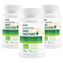 DAO ergänzt Histamin Blocker – DAO Enzyme + Diamine Oxidase & Quercetin, Immortelle, Vitamin C für Gut Gesundheit und Nahrung Unterstützung 180 Kapseln
