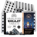 Himalaya Shilajit Tabletten - Pure Gold-Grade Himalaya-Extrakt - jeweils 200 mg, 120 Zählung - Organische, Labor-getestete Fulvic Säure für Energie, Ausdauer und Vitalität Unterstützung für Männer und Frauen