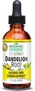 Botanische Wahl Dandelion Root, Alkoholfreie flüssige Extrakt-Traditional Unterstützung für Lebergesundheit, Saubere Toxine, Aid Digestion-1 flüssige Unze