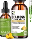Drops de mousse de mer 2000mg, supplément de mousse de mer d'Irlande soutient l'immunité, avec mûre noire, racine de lard, bromelain, vitamine C et zinc, 2 Fl.Oz, goût d'ananas
