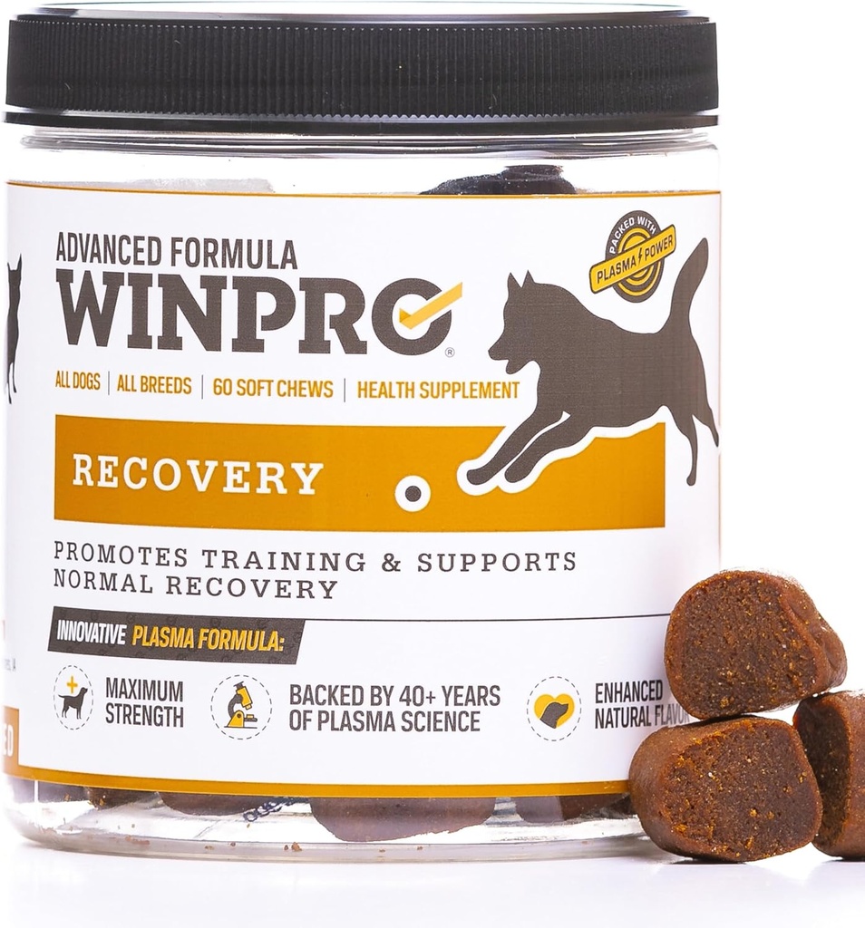 WINPRO Recovery Chews für Hunde, Plasma-Powered für aktive Hunde, Immunsystem-Unterstützung, und Dog Training Unterstützung für Wettbewerb und Sport Muskel Erholung und Agilität, 60 Count, Made in USA