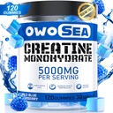Kreatin Monohydrat-Gummi für Männer & Frauen 5000mg Kreatin Monohydrat pro Servieren für Muskelunterstützung Energie Boost 120 Count Chewable 5g Kreatin Ergänzung Zucker Free Vegan (1 Pack, blau Raspberry)
