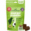 Poêles probiotiques pour chiens Gut Health (en anglais seulement) Pré et probiotiques savoureux pour chiens Santé digestive avec probiotiques pour chiens citrouille et enzymes digestives (en anglais seulement) Certifié et fabriqué aux États-Unis (en anglais seulement) 60 Chews