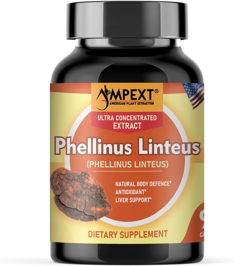 Phellinus linteus Mushroom Extract - Premium Qualität, Nur Fruchtkörper, Antioxidans, Immunität Booster, Liver Support, 90 Veg Caps.