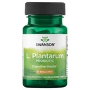 Swanson L. Plantarum - Verdauungsergänzung Gastrointestinal Balance & Bowel Regularity fördern - Natürliche Formel, um Bloating zu reduzieren - (30 Veggie Kapseln)