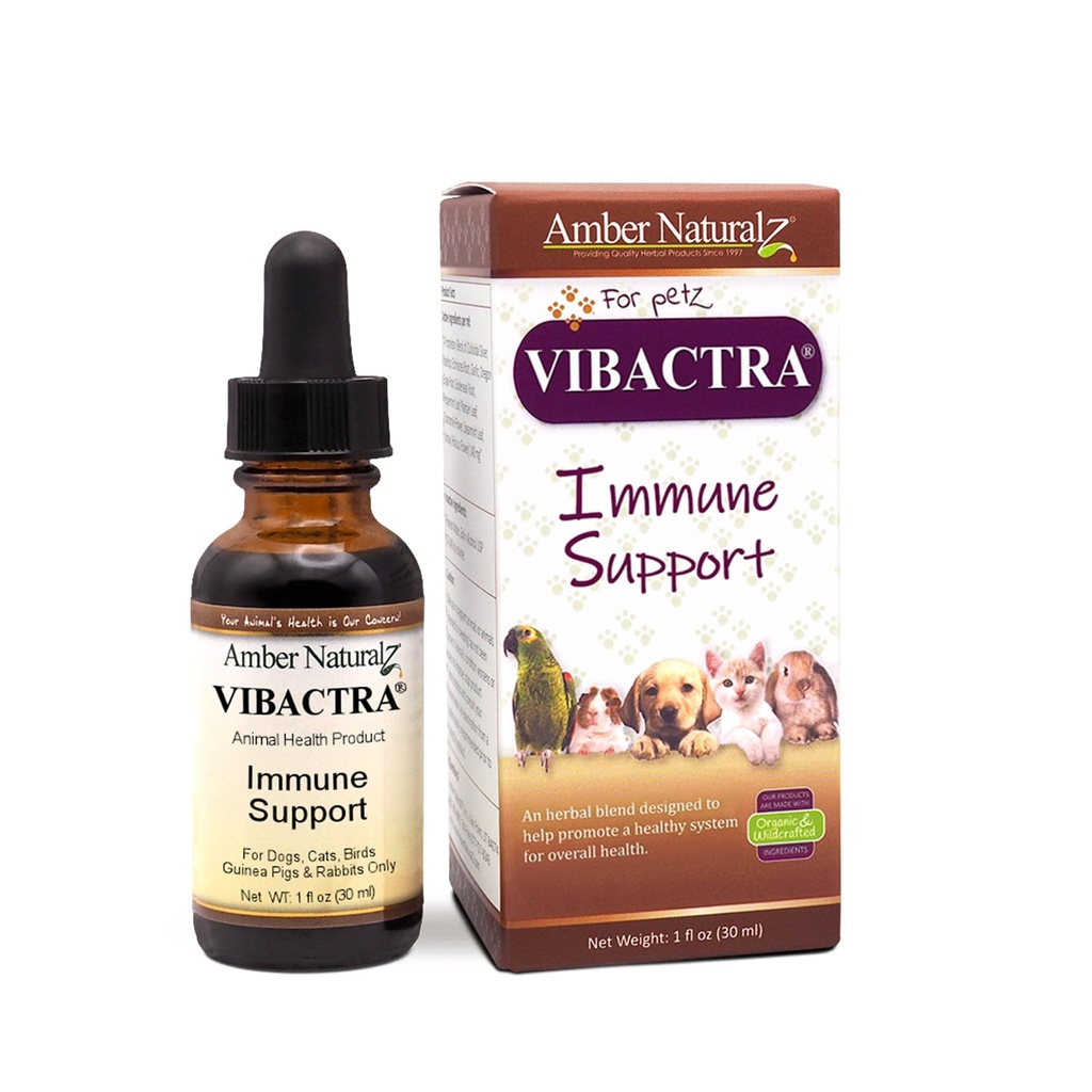 Amber NaturalZ Vibractra Immune Support complément à base de plantes pour chiens, chats, oiseaux, cochons de Guinée, et lapins