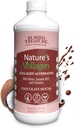 Buried Treasure Nature's Vollagen – 2000mg Vollagen Complex, Haut, Haare und Gelenke Gesundheit, 100% Pflanzenbasiert, Glutenfrei, Sojafrei, Dairy-frei, Schokolade Mocha Flavor, 16oz Flüssigkeit