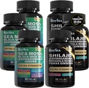 Boysea. Shilajit und Sea Moss Bundle- 90 Count - Sea Moss, Black Seed Oil, Ashwagandha, Ginger & Shilajit, Rhodiola Rosea, Alle in 1 Ergänzungen (3 Pc)
