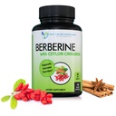 DOCTEUR COMPLÉMENTS RECOMMANDÉS Berbérine avec cannelle Ceylan - 1200mg Berbérine et 100mg Cinnamon Ceylan biologique - 120 Capsules de Véggie, système immunitaire sain et bien-être gastro-intestinal