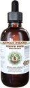 Extrait liquide sans alcool de pin blanc, pin blanc (Pinus Strobus) glycérite séchée glycérite supplément naturel à base de plantes, Hawaii Pharm, États-Unis 4 fl.oz
