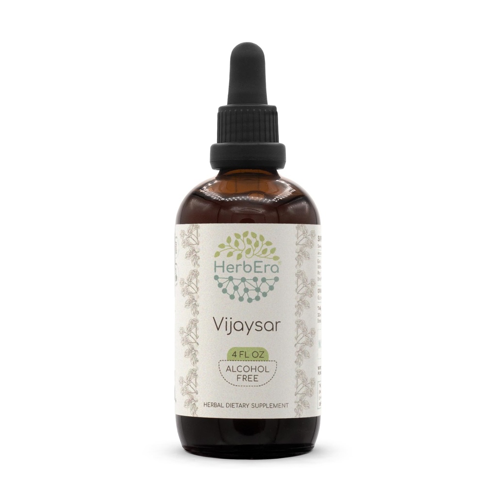 HerbEra Vijaysar B120 Alcohol-Free Herbal Extract Tincture, Concentrated Liquid Drops Natural Vijaysar (Indian Kino, Pterocarpus Marsupium) Dried Bark (4 fl oz)