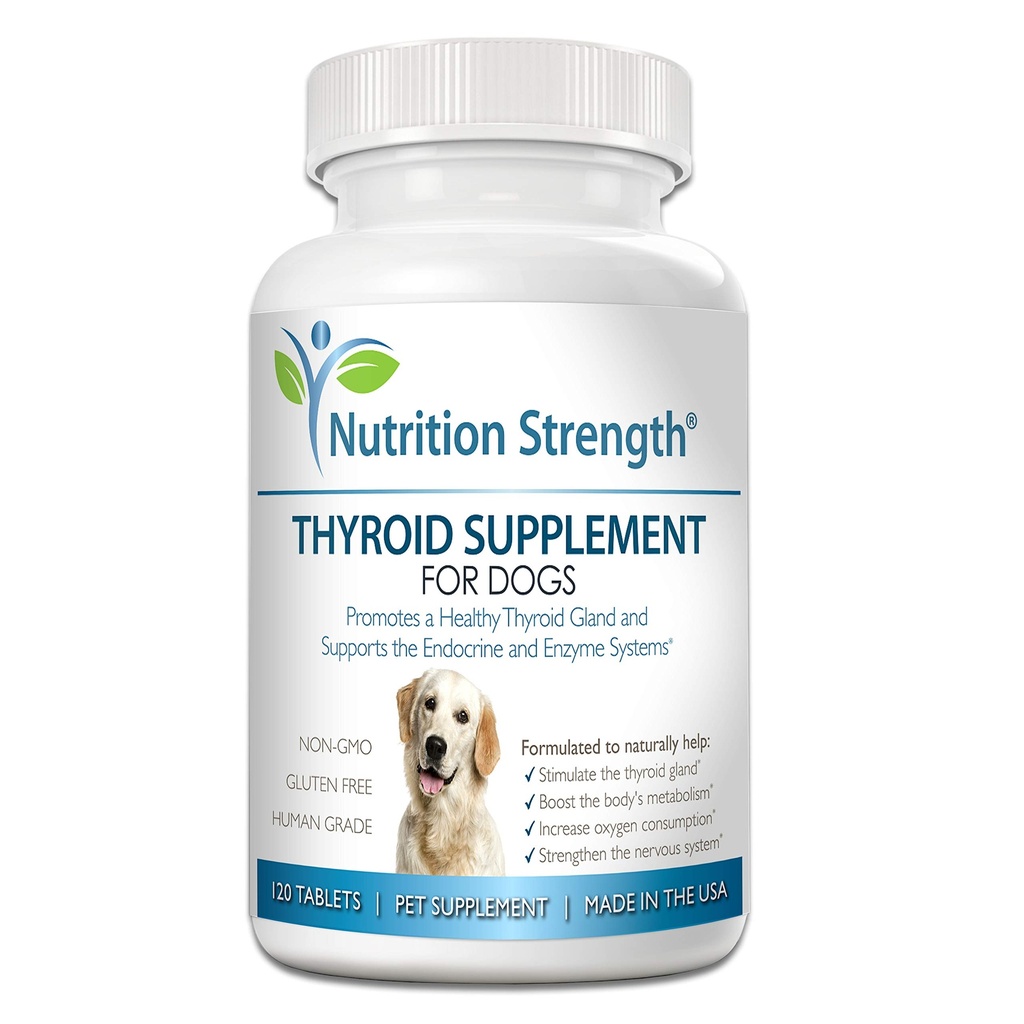 Schilddrüsen-Ergänzung für Hunde, Unterstützung für Hypothyreose bei Hunden mit Bio-Blatderwrack, fördert normale Funktion von Endocrine und Enzyme Systems, 120 Kautabletten