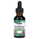Nature's Answer Enchinacea & Goldenseal | Unterstützt ein gesundes Immunsystem | Super Concentrated Pure Extract | Alkoholfrei, Glutenfrei, Vegan & Kosher Zertifiziert 1oz
