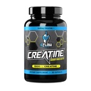 EFlow Creatine Capsules, HCL Creatine Pills - Supplément de créatine pour hommes et femmes, Muscle Builder, Endurance, Force, avec AstraGin et Senactiv (1500mg, 90 Capsules)
