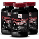 Energy Recovery Booster - TRIBULUS TERRESTRIS EXTRACT - Dynamic Strength Support, Muscle Power Formula, Stamina Enhancement, Physical Power, Active Energy Boost, Strength 3 Bottles 270 Tablets