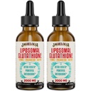 Liposomale Glutathione Liquid 2000MG – Antioxidante Detox-Ergänzung für Damen und Herren, Aging Defense, Liver Function & Energy, mit Hyaluronsäure + Aloe Vera + Vitamin C, Natural & Vegan, 4 FL.OZ