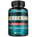 Satoomi 25in1 Berberine Supplement - Berberine Hcl - Ceylon Cinnamon - Milchdistel und mehr