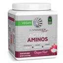 Sunwarrior Aminosäuren Amino Energy Powder Essential Amino Acids EAA | Muskelreparatur Hydration & Recovery | Fördern Sie Wellness Stärke & Ausdauer | Dragon Fruit Flavor | 30 Servis | Active Aminos