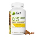 Jiva Botanicals Boswellia Extract Kapseln 700mg pro Servieren - Boswellia Serrata Extract Supplement & Black Pepper - Joint Support Supplement für normale gemeinsame Gesundheit - 120 Kapseln (Pack von 1)
