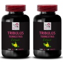 Pure Tribulus extract - TRIBULUS TERRESTRIS EXTRACT - Tribulus dietary, Tribulus Terrestris plant, Tribulus for muscle support, Tribulus powder, Tribulus Terrestris organic, Premium Tribulus 2B 120C