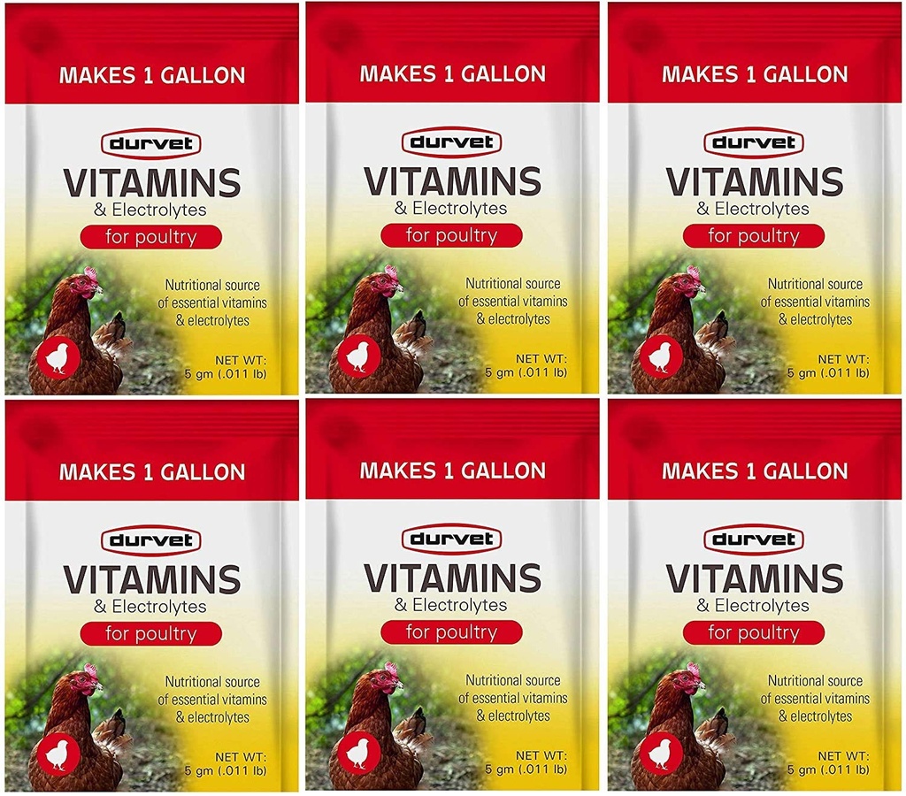 Dauer 6 Packung Vitamine und Elektrolyte für Geflügel, 5 Gramm, macht 6 Gallone