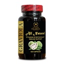 Graviola Extract - Annona muricata, Vegan Digestion Support, Superfood antioxidants, Supplements for Overall Wellness, Supports a Healthy Immune System - 1 Bottle 100 Capsules