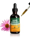 Herb Pharm Certified Organic Super Echinacea Flüssigkeitsextrakt Tropfen für aktive Immunsystem Unterstützung, 2 Oz