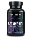 Leviathan Betaine HCl mit Pepsin & Ginger - Verdauungsenzym-Ergänzung für Verdauungshilfe & Unterstützung, Magensäure & Nährstoffaufnahme