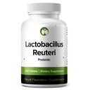 Lactobacillus Reuteri Probiotic Supplement 240 Tabletten 3 Billion CFU Probiotics für Männer und Frauen unterstützt Darmdigestive & Gut Health (240, Lactobacillus Reuteri)