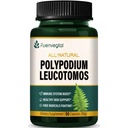 Kalawalla Root Capsules, Polypodium Leucotomos Extrakt Ergänzungen Unterstützung Immunsystem, Hautgesundheit und freie Radikale Verteidigung, Lasten 3 Monate. Anzahl