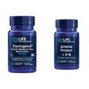 Lebensverlängerung Pycnogenol Französisch Maritime Pine Bark & Gotu Kola Arterial Health Supplements - 60 & 30 vegetarische Kapseln