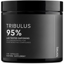 Tribulus Terrestris pour les hommes - Extrait ultra-haute puissance 25:1 avec des saponines à 95% - 1300mg Formule pure et concentrée - Laboratoire tiers testé pour la pureté et la qualité - 240 capsules