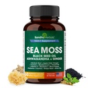 SANDHUHERBALS Sea Moss Capsules with Black Seed Oil Ashwagandha Ginger Burdock Root | Advanced Seamoss 60 Count | Alle Männer Frauen Alter