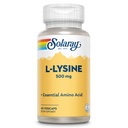 SOLARAY L Lysine 500 mg Kapseln - Free-Form Essential Amino Acids Supplement - Leistungsstarke Wellness-Unterstützung mit L-Lysine Aminosäure - Lab Verified, 60-Day Garantie, 60 Servietten, 60 VegCaps