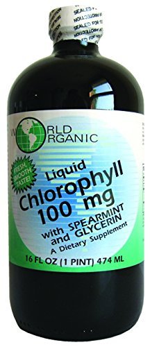 Liquid Chlorophylle Liquide avec Spearmint, 16 Fluid Ounce