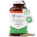 Cryptolepis Synergy, Vitamines de soutien immunitaire, Système immunitaire Booster pour les adultes, foie, Lymphatique, et supplément de soutien immunitaire, soutient Lyme et la défense naturelle du parasite, 120 capsules
