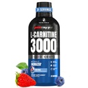 PROSUPPS L-Carnitine Liquid 3000, Stimulant-Free Liquid Shops for Men & Women - boisson d'entraînement propre pour l'énergie, la performance et la récupération musculaire - Pas de sucre, pas de glucides - 31 portions, Razz bleu