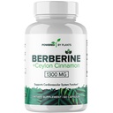 Pure Berberine Supplement - 1300mg Berberine mit Ceylon Cinnamon für Stoffwechsel und Immunsystem Unterstützung - 60 Servierungen