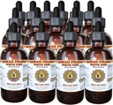 Extrait liquide de pin blanc, Pine blanche (Pinus Strobus) Teinture de poudre d'écorce, supplément à base de plantes, Hawaii Pharm, Fabriqué aux États-Unis, 15x4 fl.oz
